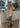 3S FLARED TP - Trace Brown-Pants-Adidas Originals-Butler Loftet