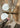 BBW550TB - Sea Salt-Shoes-New Balance-Butler Loftet