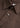 BENJAMINS - Dark Sand-Shirts-Tiger of Sweden-Butler Loftet