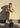 Barbour Rokig Wproof - Washed Stone /-Outerwear-Barbour-Butler Loftet