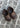 Classic - Coffee-Shoes-Crocs-Butler Loftet