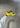 GEL-SD-LYTE - Vibrant Yellow/Black-Shoes-Asics-Butler Loftet