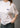 GIXY - Blanc-T-shirts-American Vintage-Butler Loftet