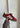 HANDBALL SPEZIAL - Noble Maroon-Shoes-Adidas Originals-Butler Loftet