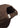 HAWK CAP - Brown-Headwear-Forét-Butler Loftet