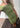 HimaMD off-shoulder dress - Grasshopper-Dress-Modström-Butler Loftet