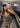 Himamd print strap dress - Camo-Dress-Modström-Butler Loftet
