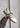 SAMBA LT - Cream White / Core Black / Gum-Shoes-Adidas Originals-Butler Loftet