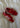 SAMBA OG - Better Scarlet-Shoes-Adidas Originals-Butler Loftet