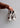 SUPERSTAR II W - Shadow Brown-Shoes-Adidas Originals-Butler Loftet