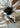 Samba OG - Black / White-Shoes-Adidas Originals-Butler Loftet