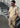 Sweater SS Polo - Ivory-Knitwear-Paul Smith - PS-Butler Loftet