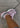 U19063FT - Pink Chalk-Shoes-New Balance-Butler Loftet