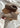 W Classic Ultra Mini - Antilope-Boots-UGG-Butler Loftet