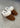 W Scuffette II - Chestnut-Boots-UGG-Butler Loftet