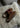 W Tazzle - Chestnut-Shoes-UGG-Butler Loftet