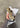 XT-6 GORE-TEX - Kelp / Wren / Safari-Shoes-Salomon-Butler Loftet