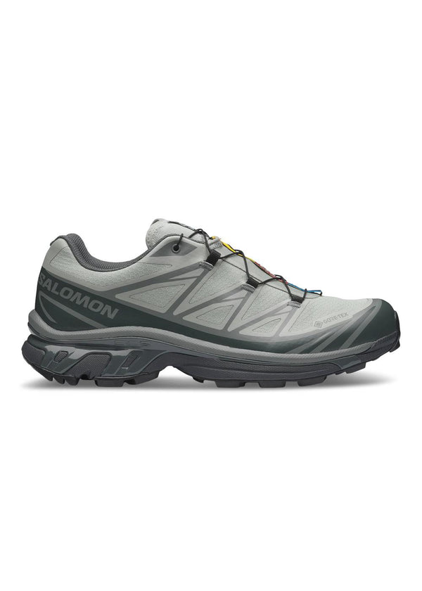XT-6 GORE-TEX - Wrought Iron / Urban Chic / Sedona Sage-Shoes-Salomon-Butler Loftet
