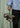 XT-WHISPER - Oxford Tan / Sedona Sage / Delicioso-Shoes-Salomon-Butler Loftet