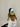 new era trucker california - Green / Yellow-Headwear-New Era-Butler Loftet