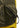 Back Pack - Ivy Green Bags826_12CMAC166A5782M_IVYGREEN_OneSize7615044622793- Butler Loftet