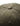 RAVEN CAP - Army Headwear773_F220_ARMY_OneSize5714323023282- Butler Loftet