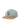 Butter Goods' Timbo 6 Panel cap - Sage/Brown. Køb caps her.
